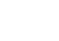 Wordpress Wordpress