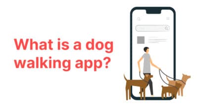 How to Develop an On-Demand Dog Walking App in 2025?