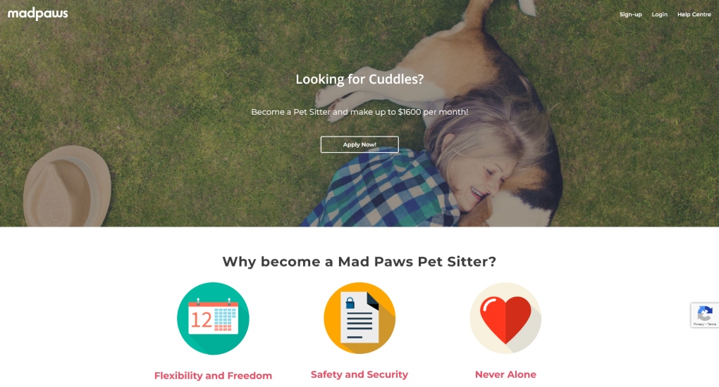 MadPaws is an on-demand dog walking marketplace